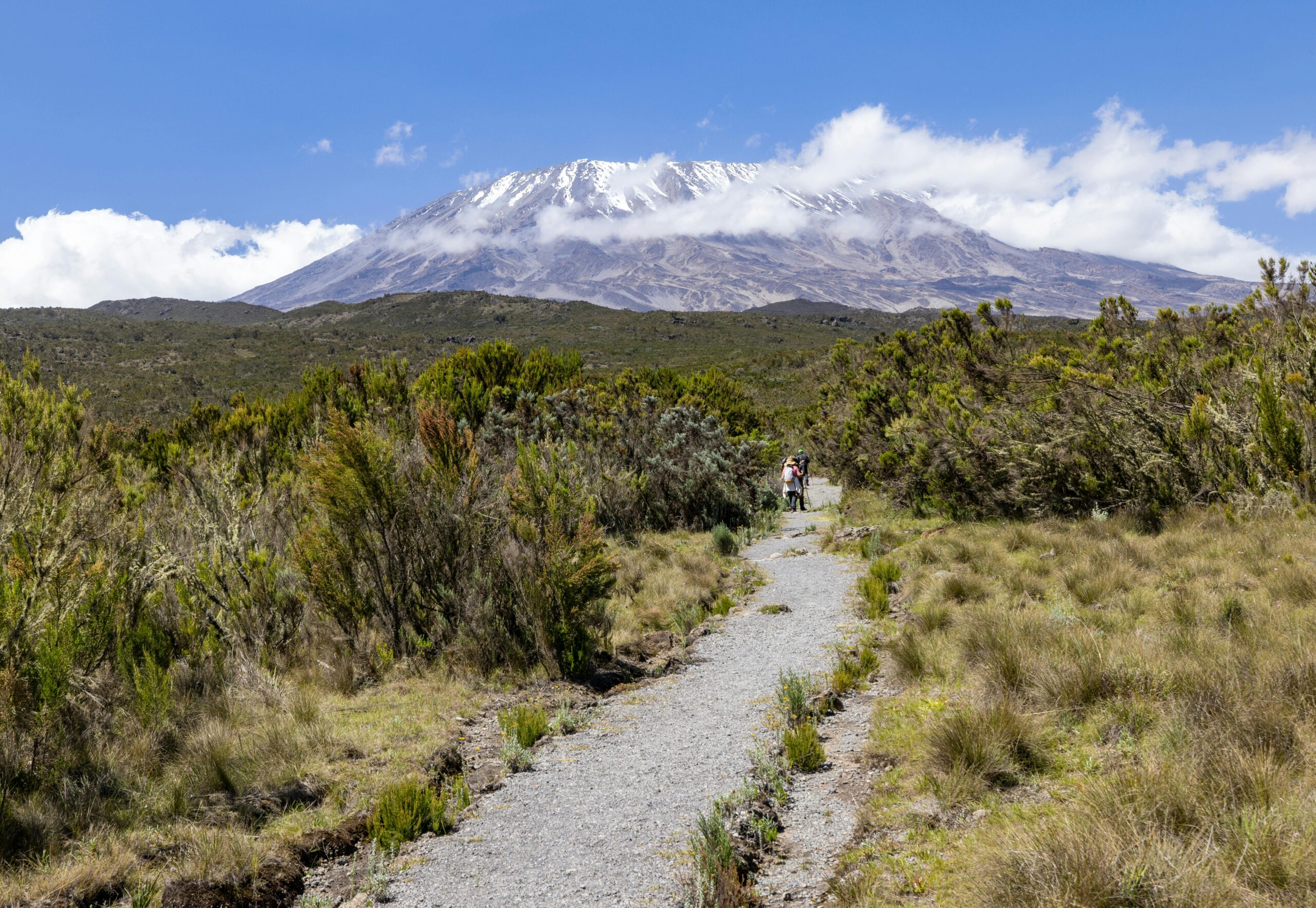 A picturesque trail leads to a snowy mountain peak under a clear blue sky.