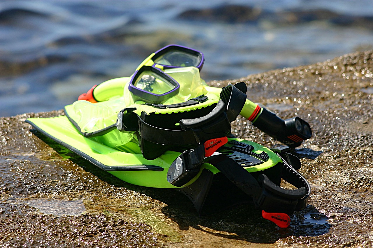 snorkle, dive, explore, mask, flippers, gear, water sports, swim, summer, green, colorful, set, nature, underwater, snorkeling, sea