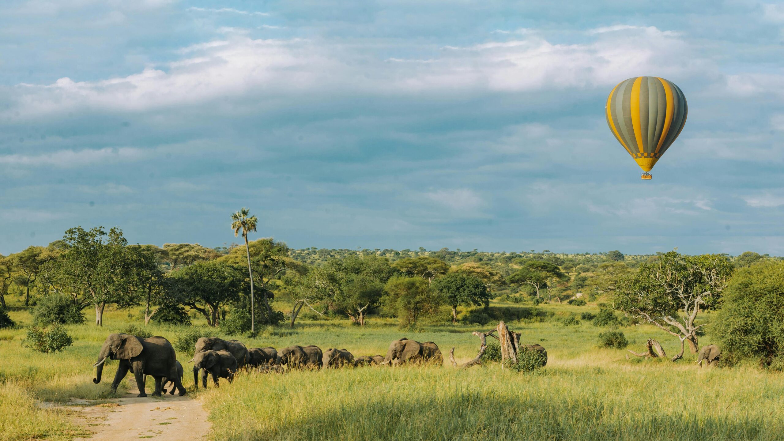 A serene safari scene with African elephants and a hot air balloon over a lush savannah.